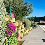 아파트 Le Domaine Des Oliviers Piscine Jacuzzi Sauna *
