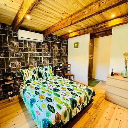 Le Domaine Des Oliviers Piscine Jacuzzi Sauna * Alès