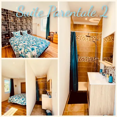 Le Domaine Des Oliviers Piscine Jacuzzi Sauna アパート アレス
