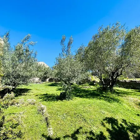 Le Domaine Des Oliviers Piscine Jacuzzi Sauna Lägenhet