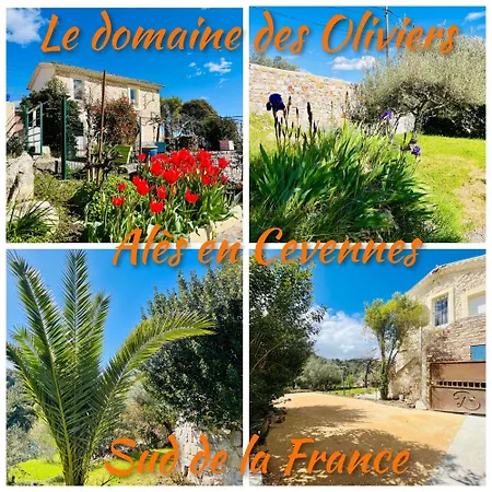 Le Domaine Des Oliviers Piscine Jacuzzi Sauna Lägenhet *