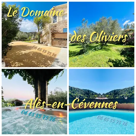 Le Domaine Des Oliviers Piscine Jacuzzi Sauna * Alès